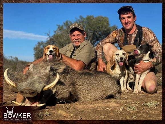 Warthog hunting in South Africa with Nick Bowker.