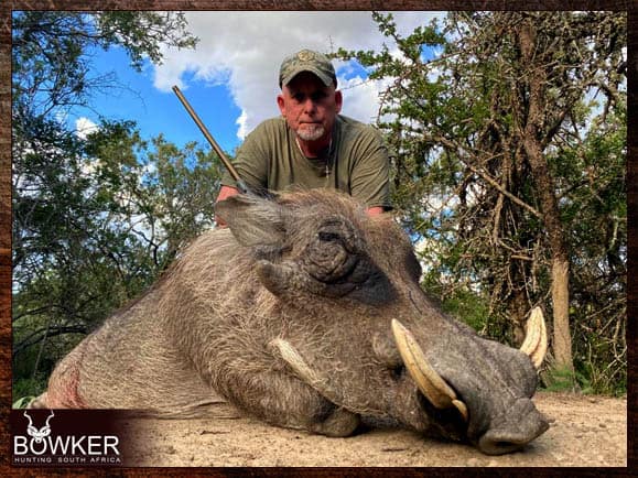 Warthog cull hunt with nick bowker