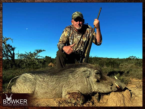 Warthog shot in the Eastern Cape