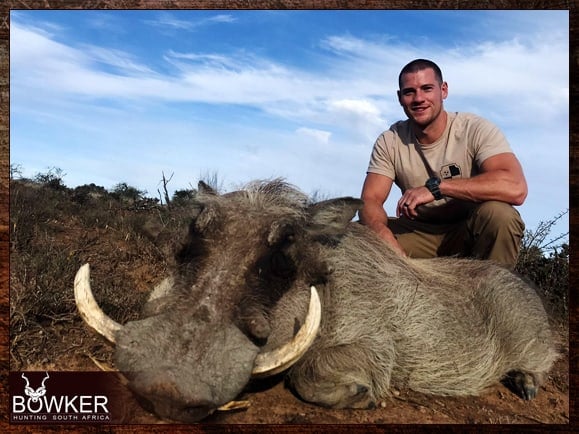 Warthog hunting in South Africa