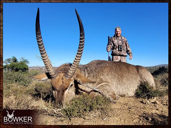 Waterbuck African hunt with Nick Bowker.