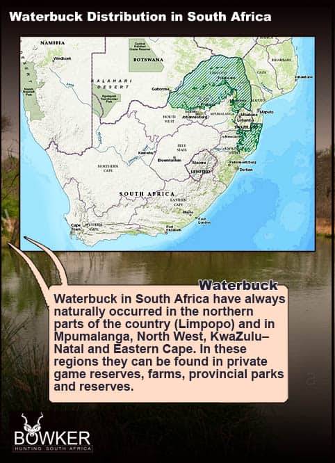Distribution of waterbuck across South Africa. 