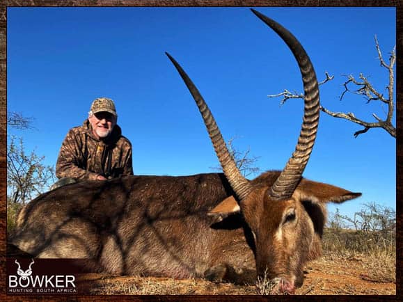 Waterbuck trophy