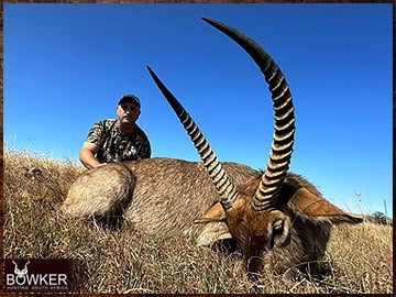 Waterbuck hunted in 2023 with Nick Bowker Hunting