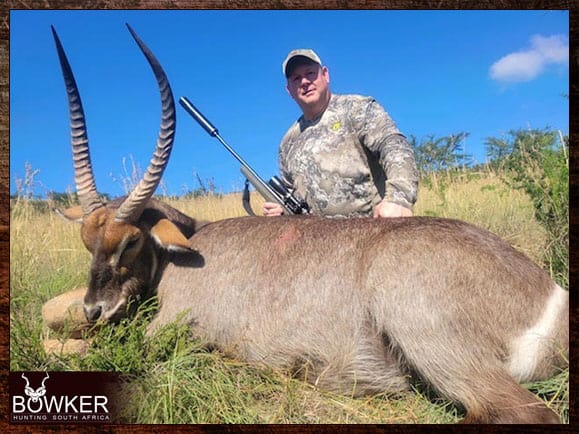 Bull taken by a client in South Africa.