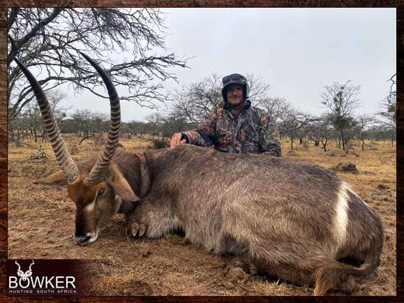 Waterbuck Hunting in South Africa 45 Trophy taken in the Eastern Cape South Africa.
