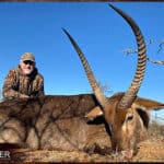 Waterbuck trophy hunted in the Eastern Cape South Africa.