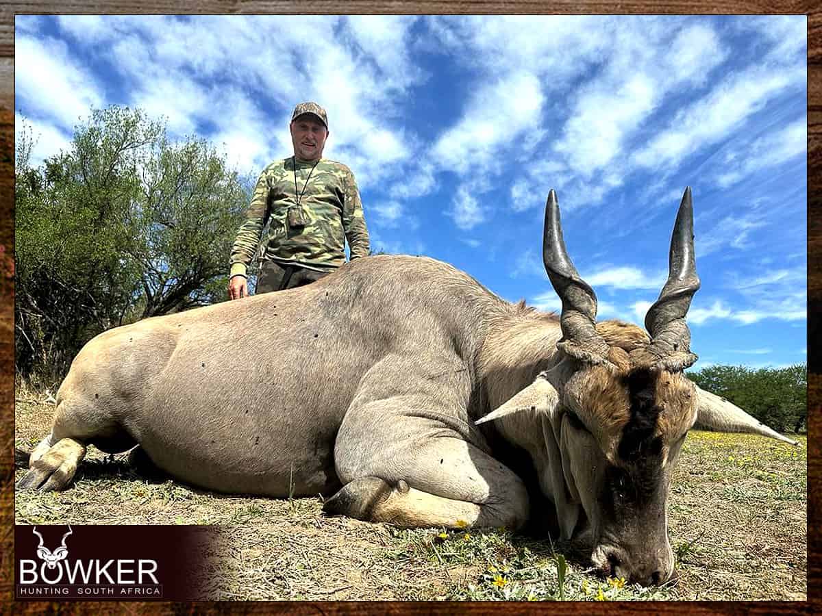 Eland trophy - what is the best time for hunting in South Africa.