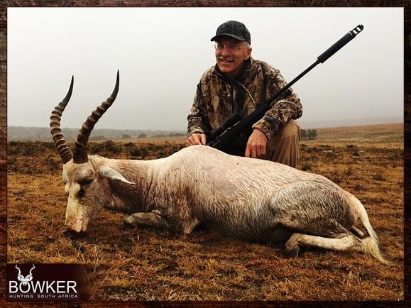 Blesbok trophy taken on ny African hunt