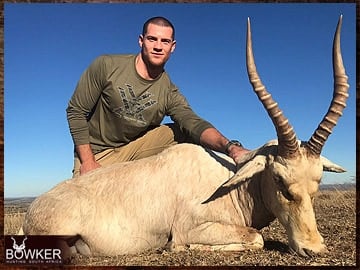 White blesbok hunted in South Africa.
