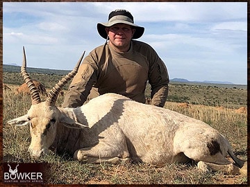 White blesbok hunting in Africa.