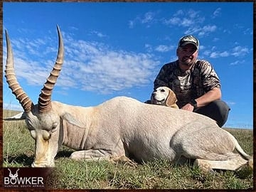 White blesbok trophy hunting in South Africa.