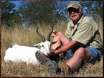 White springbok hunting in Africa.