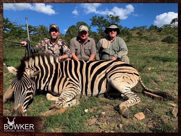 Zebra Hunting in South Africa (Video Included) Nick Bowker Hunting