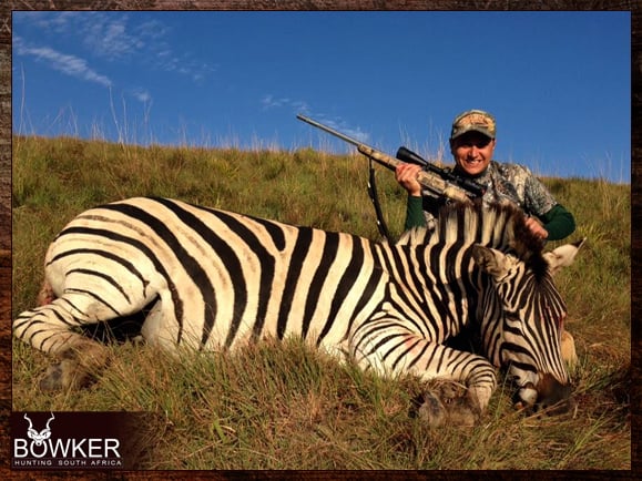 Zebra Hunting in South Africa.