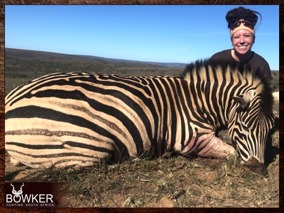 Zebra Hunting in South Africa (Video Included) Nick Bowker Hunting