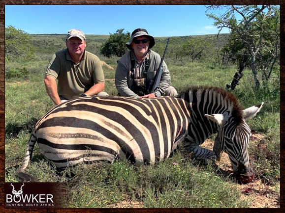 Zebra taken on our African hunting trip